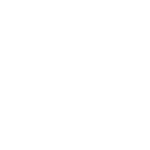 Turtle Calendar Icon